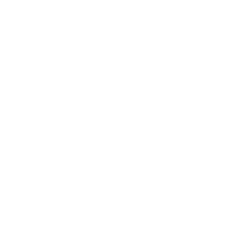 Champions League